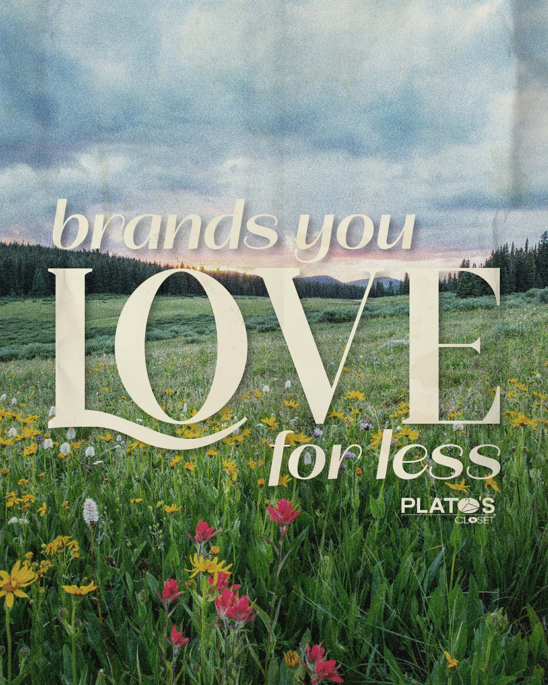 Top Brands, Low Prices